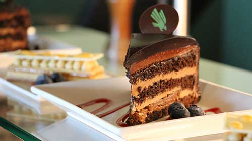 Picture of chocolate cake with UNT logo