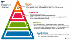 Gallup Engagement Survey Pyramid