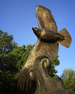 Photo of eagle statue on UNT campus