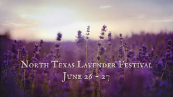 North Texas Lavender Festival, June 26-27. The lettering is set against a cloudy lavender field
