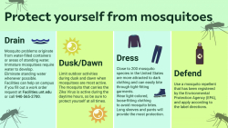 Mosquito Protection Tip Chart